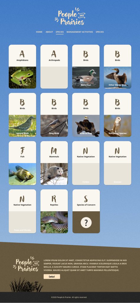People & Prairies - website - presented design - other