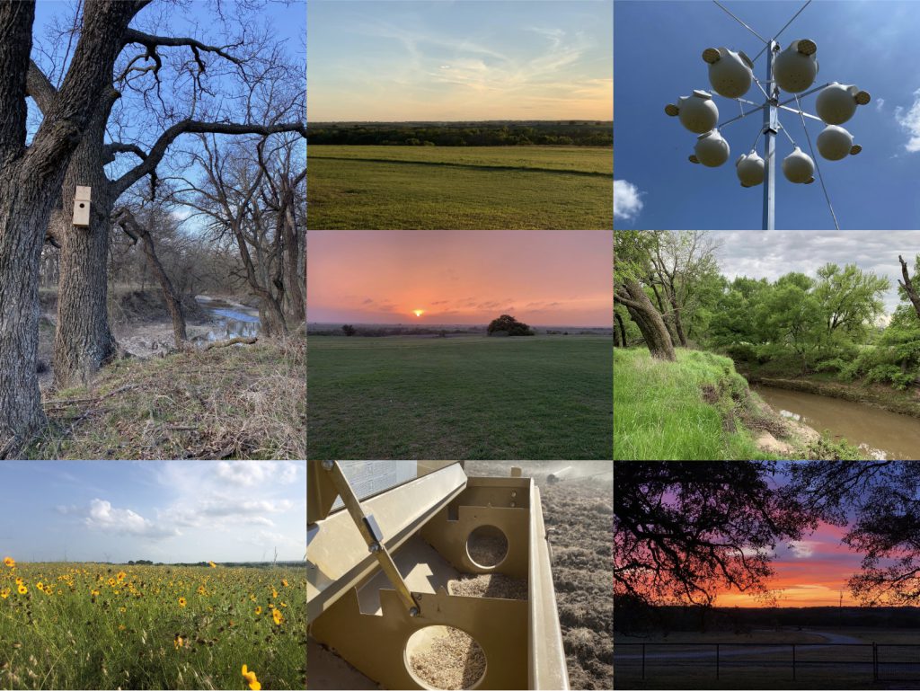 People & Prairies - website - inspiring photos taken by client